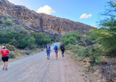 Montagu Camino on the Ouberg road
