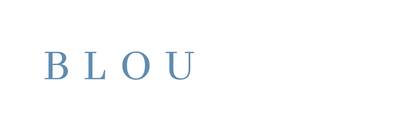 Bloupunt Wines logo